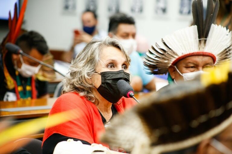 Erika Kokay apresentou o pedido para realização do debate - (Foto: Elaine Menke/Câmara do Deputados)