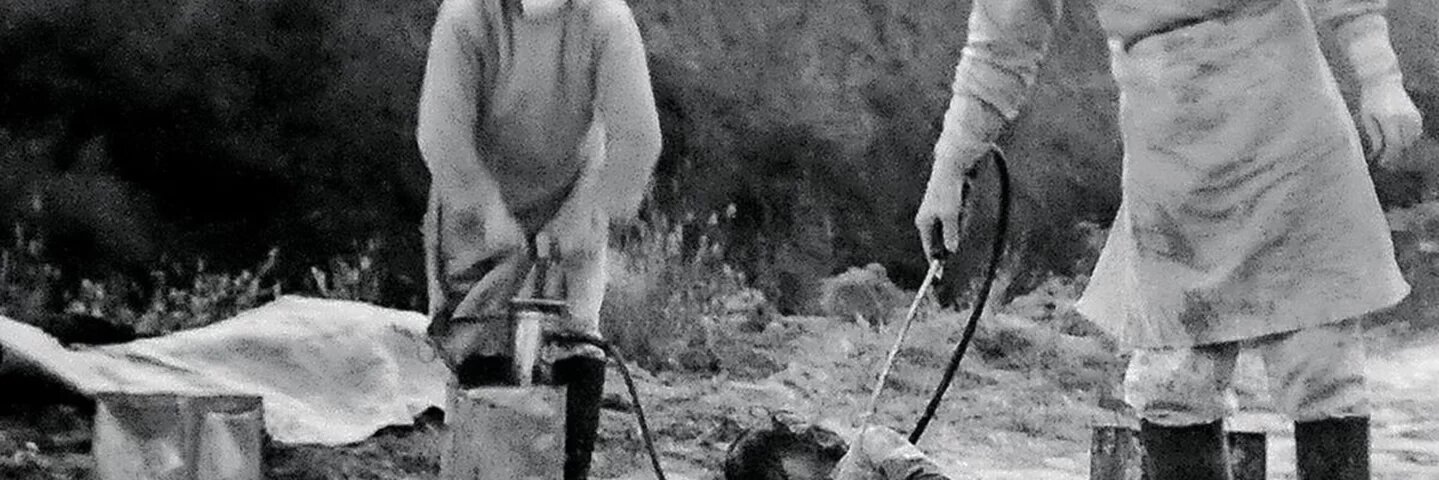 Foto: Reprodução/Mega Curioso